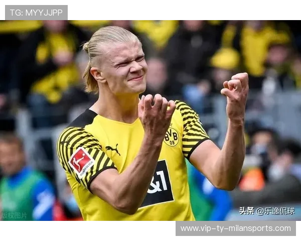 多队盯上哈兰德冬窗，多队盯上哈兰德冬窗了吗